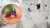 দেশের সব হাসপাতাল প্রস্তুত রাখার নির্দেশ
