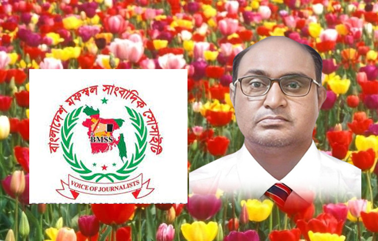 সাংবাদিক হানিফ বিএমএসএস’র কেন্দ্রীয় ভাইস চেয়ারম্যান নির্বাচিত