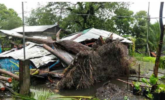 ঝড়ে পশ্চিমবঙ্গে ৫ জনের মৃত্যু