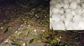 গোলাপগঞ্জে শিলাবৃষ্টিতে আহত শতাধিক