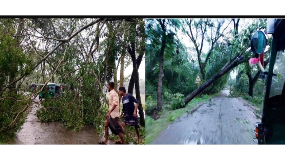 কানাইঘাটে কালবৈশাখী ঝড় ও শিলাবৃষ্টিতে ব্যাপক ক্ষয়ক্ষতি