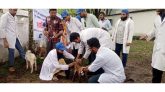 কৃষক ও খামারিদের সেবা দিলো সিকৃবির ৩ অনুষদের শিক্ষার্থীরা