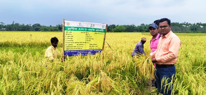 কমলগঞ্জে বিনা ধান-২৫ কর্তনের মাঠ দিবস অনুষ্ঠিত