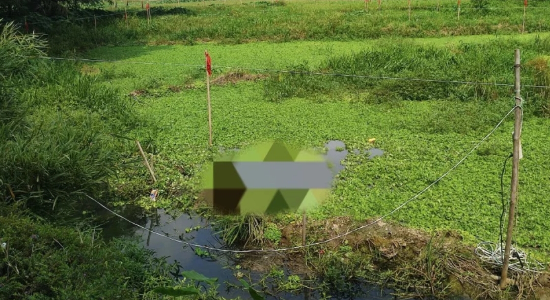 শাবি’র লেক থেকে নির্মাণ শ্রমিকের লাশ উদ্ধার