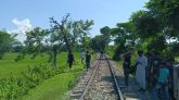 কুলাউড়ায় চলন্ত ট্রেনের নিচে ঝাঁপ দিলেন নারী