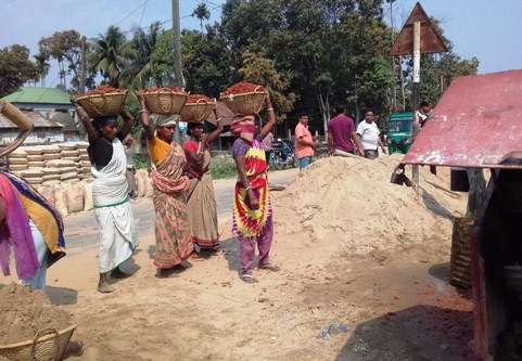 চা বাগান ও বস্তির বেকার নারী শ্রমিকরা নিয়োজিত ঝুঁকিপূর্ণ কাজে