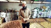 একসঙ্গে ২১ জাতের আলু চাষ করে সাড়া ফেলেছেন জালাল