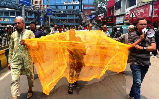 সিলেট নগরীতে মশার উৎপাত, প্রতিবাদে মশারী মিছিল