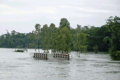 সিলেটের ৭ উপজেলায় বন্যা, সাড়ে ৫ লাখ মানুষ পানিবন্দি