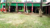 বিশ্বনাথে ভোট কেন্দ্র ফাঁকা, দুই ঘন্টায় ৭৮ ভোট