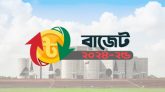 ২০২৪-২৫ অর্থবছরের বাজেট পাস