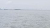 ওসমানীনগরে মাছ ধরতে গিয়ে জেলে নিখোঁজ
