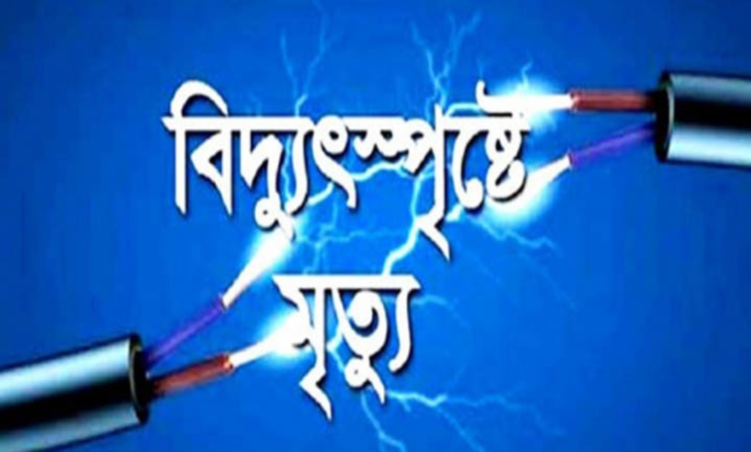 গোয়াইনঘাটে বিদ্যুৎস্পৃষ্টে শিশুর মৃত্যু