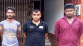 সিলেটে ডিবি পরিচয়ে মহিষভর্তি ট্রাক ছিনতাই, গ্রেপ্তার ৩