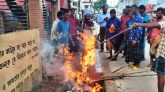 হাওরে নিষিদ্ধ কারেন্ট জাল, নদীতে অবৈধ বাঁশের খাঁটি ধ্বংস হচ্ছে জলজ প্রাণী