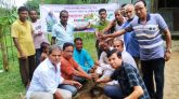 কমলগঞ্জে পূজা উদযাপন পরিষদের বৃক্ষরোপন