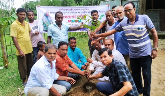 কমলগঞ্জে পূজা উদযাপন পরিষদের বৃক্ষরোপন