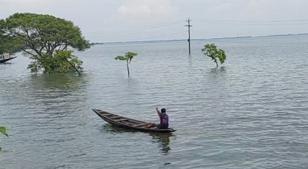 ধর্মপাশায় হাওরে ডু*বে বউ-শাশুড়ির মৃ*ত্যু
