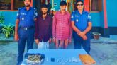 জৈন্তাপুরে ইয়াবা ও গাঁজা সহ ২জন আটক