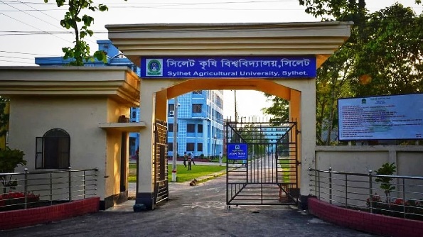 মধ্যরাতে সিকৃবিতে মিছিল করেছে কোটা বিরোধীরা, হামলার অভিযোগ