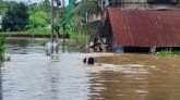 ১১ জেলায় বন্যায় মৃতের সংখ্যা বেড়ে ৫৪