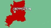 কোম্পানীগঞ্জে পানিতে ডুবে ভাই-বোনের মৃত্যু