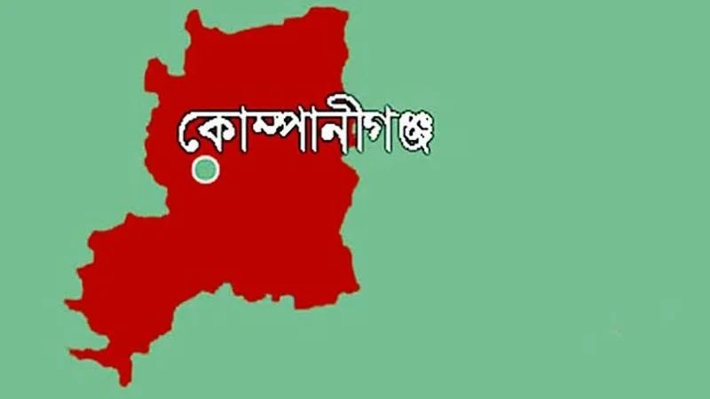 কোম্পানীগঞ্জে পানিতে ডুবে ভাই-বোনের মৃত্যু