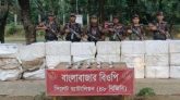 সুনামগঞ্জ সীমান্তে ২২ লাখ টাকার ইলিশ জব্দ