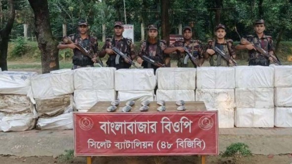 সুনামগঞ্জ সীমান্তে ২২ লাখ টাকার ইলিশ জব্দ