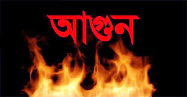 ওসমানীনগরে গোয়াল ঘরে আগুন, ৯টি গরু-ভেড়া পুড়ে ছাই