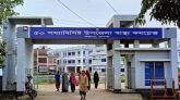 ডুবন্ত ভাইকে বাঁচাতে গিয়ে প্রাণ গেল আরেক ভাইয়ের