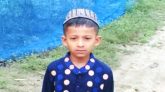 সুনামগঞ্জে ধান ভাঙার গাড়ির চাপায় শিশুর মৃত্যু