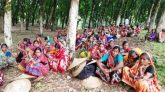 মজুরি বৃদ্ধির দাবিতে সিলেটে চা শ্রমিকদের কর্মবিরতি