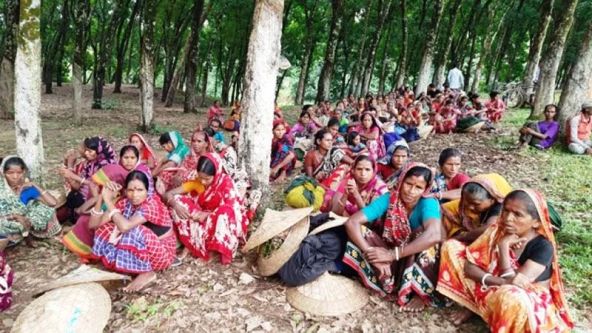 মজুরি বৃদ্ধির দাবিতে সিলেটে চা শ্রমিকদের কর্মবিরতি