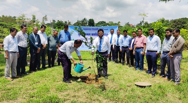 বৃক্ষা না থাকলে জীবনও থাকবেনা : প্রোভিসি সুরেশ রঞ্জন বসাক