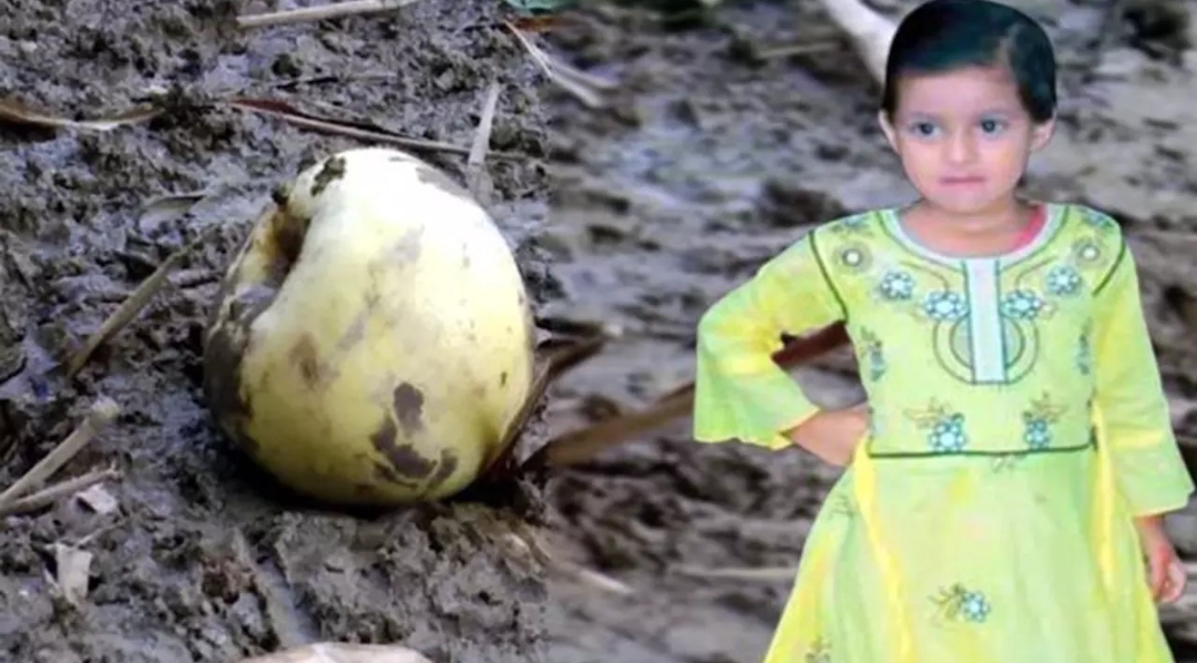 আপেলই ছিল মুনতাহার জীবনের শেষ খাবার