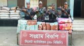 সিলেট সীমান্তে বিজিবি’র অভিযানে ৭৫ লক্ষ টাকার চোরাই পণ্য জব্দ