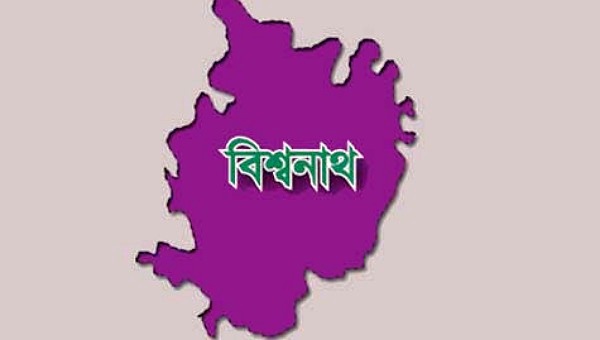 বিশ্বনাথে ট্রাক চাপায় ভ্যান চালকের মৃত্যু