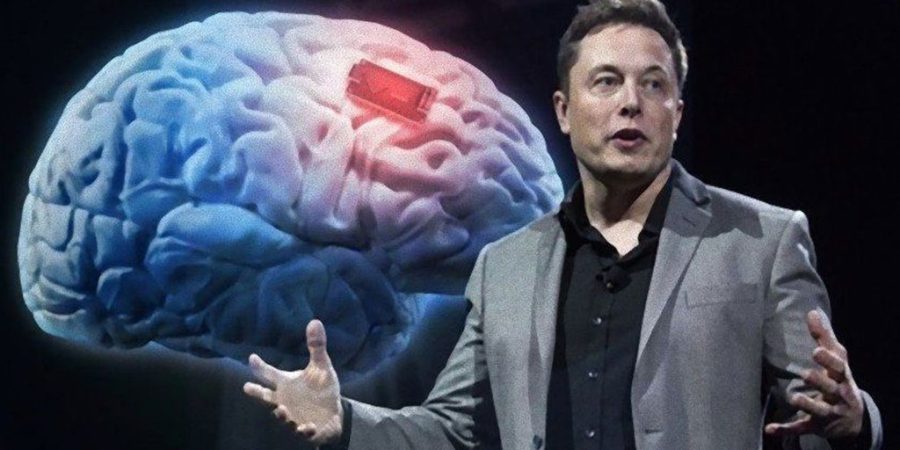 মাস্কের নিউরালিঙ্ককে মানব মস্তিষ্কে চিপ বসানোর অনুমতি দিলো কানাডা