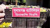 সুনামগঞ্জ সীমান্তে অর্ধকোটি টাকার চোরাই পণ্য জব্দ