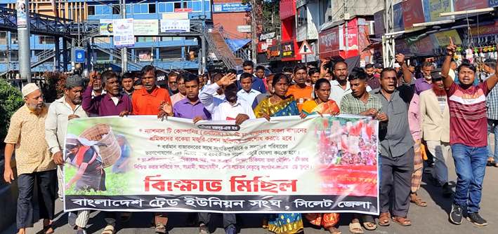 বকেয়া মজুরি-রেশন পরিশোধের দাবিতে সিলেটে চা শ্রমিকদের বিক্ষোভ মিছিল