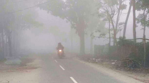 ঘন কুয়াশায় ঢেকেছে পঞ্চগড়ের জনপদ