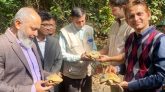 অতি বিপন্ন ৬টি হলুদ কচ্ছপে ট্রান্সমিটারযুক্ত করে লাউয়াছড়ায় অবমুক্ত