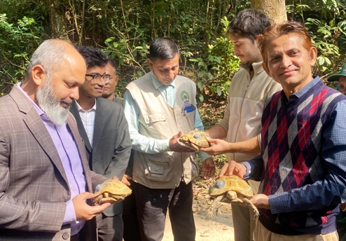 অতি বিপন্ন ৬টি হলুদ কচ্ছপে ট্রান্সমিটারযুক্ত করে লাউয়াছড়ায় অবমুক্ত