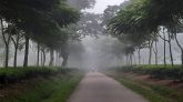 সর্বনিম্ন তাপমাত্রায় কাঁপছে শ্রীমঙ্গল