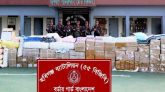 হবিগঞ্জে বিজিবির অভিযানে পৌনে ৩ কোটি টাকার ভারতীয় পণ্য জব্দ