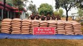 সিলেটে অর্ধকোটি টাকার চোরাই পণ্য জব্দ করল বিজিবি