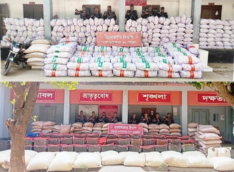 সিলেট সীমান্তে প্রায় কোটি টাকার চোরাই পণ্য জব্দ