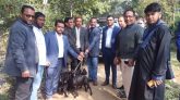 গোলাপগঞ্জের ৭ শহিদ পরিবার পেল নগদ অর্থ ও ছাগল