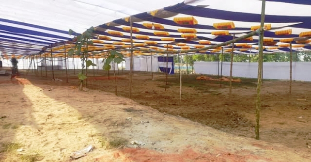 মৌলভীবাজারে আজ থেকে শুরু হচ্ছে জেলা ইজতেমা